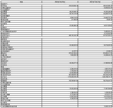浙江新中港热电股份有限公司2022第三季度报告