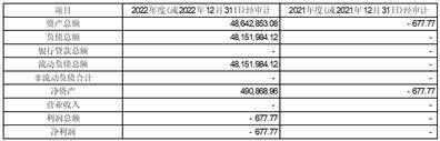 百洋产业投资集团股份有限公司 关于2023年全资子公司为上市公司 提供担保额度预计的公告
