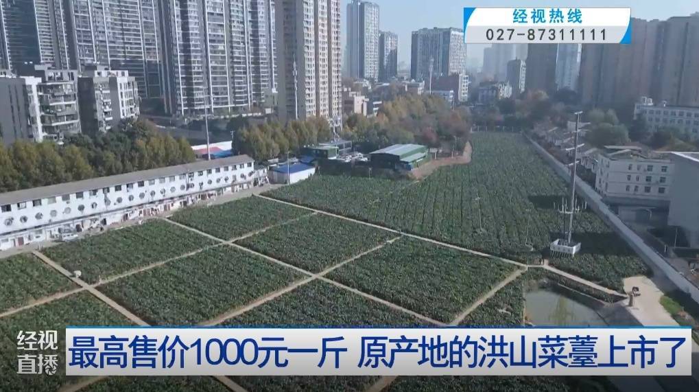 武汉人爱吃！最高1000元一斤<strong></p>
<p>中币交易所如何登录</strong>，供不应求
