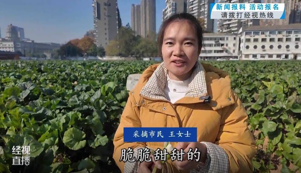 武汉人爱吃！最高1000元一斤<strong></p>
<p>中币交易所如何登录</strong>，供不应求