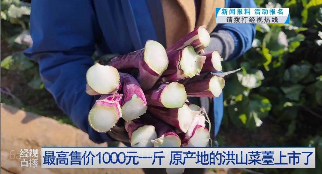武汉人爱吃！最高1000元一斤<strong></p>
<p>中币交易所如何登录</strong>，供不应求