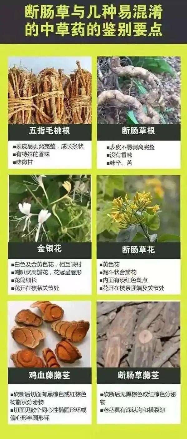 广东一老人买药材煲汤中毒身亡 当地：店铺误售断肠草<strong></p>
<p>上币交易所</strong>，老板被拘留