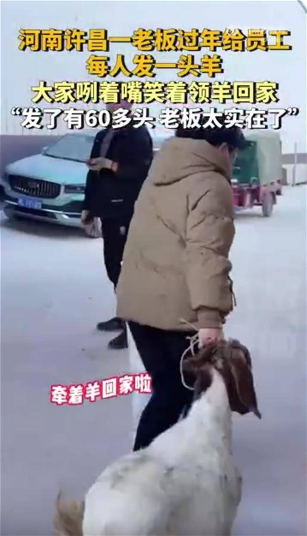 河南一公司给60多名员工每人发一头羊<strong></p>
<p>j交易所债券质押</strong>，员工：太实在了，跟着老板有肉吃！
