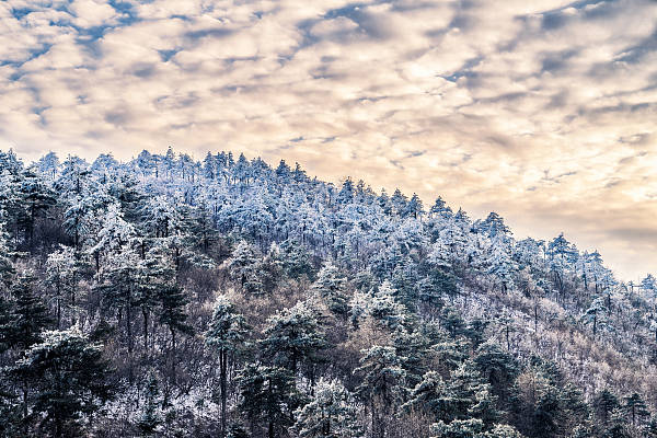 领导赏雪封游客下山路是误会<strong></p>
<p>天王币交易所</strong>？景区道路管控可以更细化