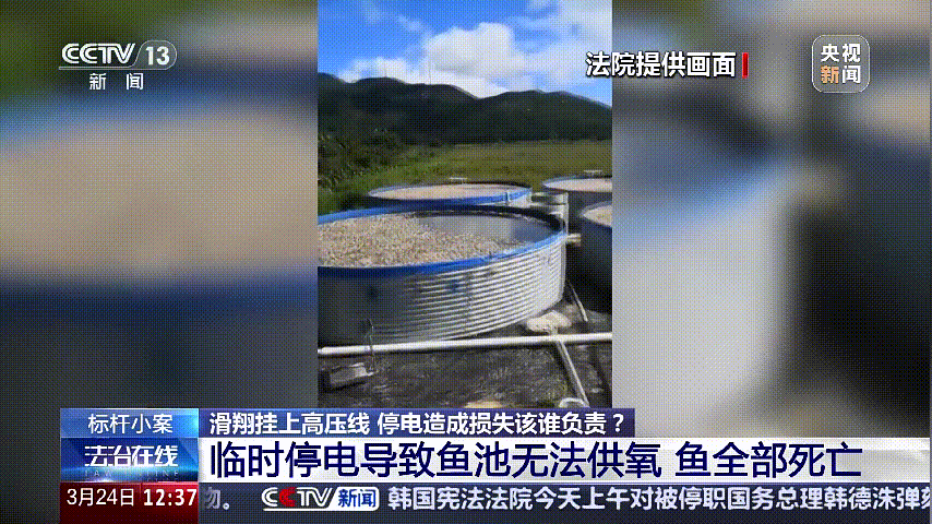 深圳女子被挂高压线！停电救援<strong></p>
<p>满币网交易所</strong>，9池鱼死光！他怒上法庭……