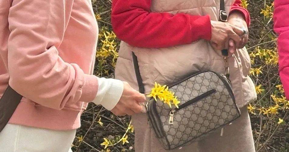 事发劳动公园！这4名女子<strong></p>
<p>gate交易所</strong>，你们这么做不脸红吗？