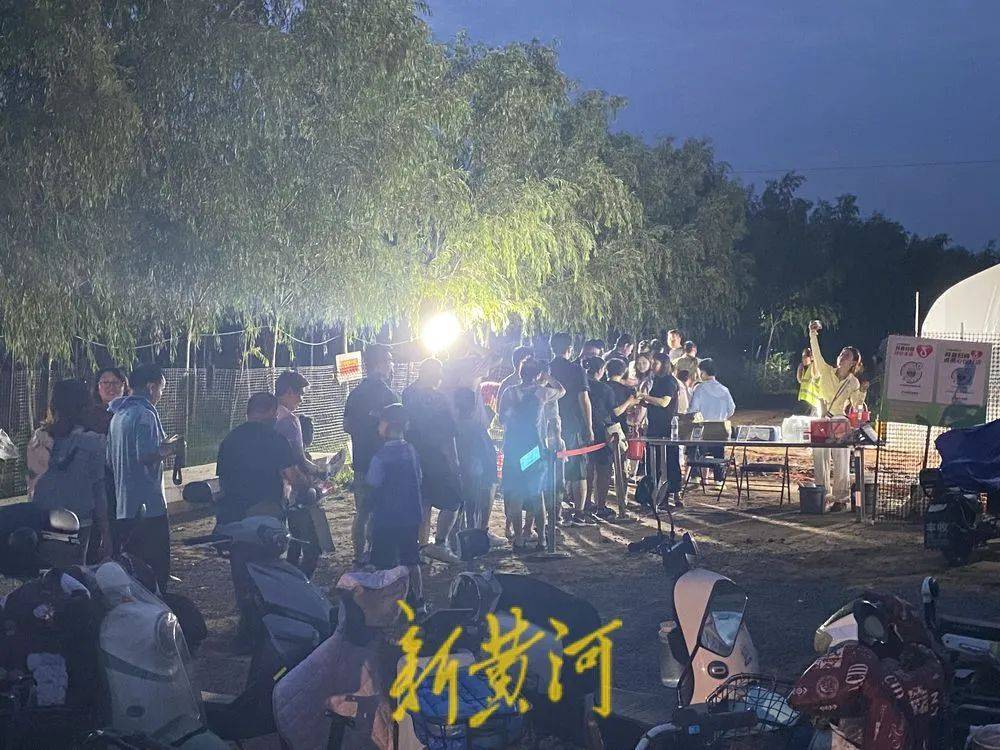 济南这片树林<strong></p>
<p>黑龙江省交易中心信息平台网</strong>，一晚捉了20000只金蝉