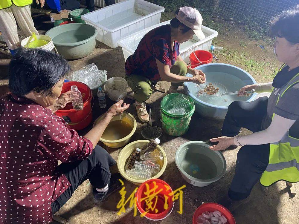 济南这片树林<strong></p>
<p>黑龙江省交易中心信息平台网</strong>，一晚捉了20000只金蝉