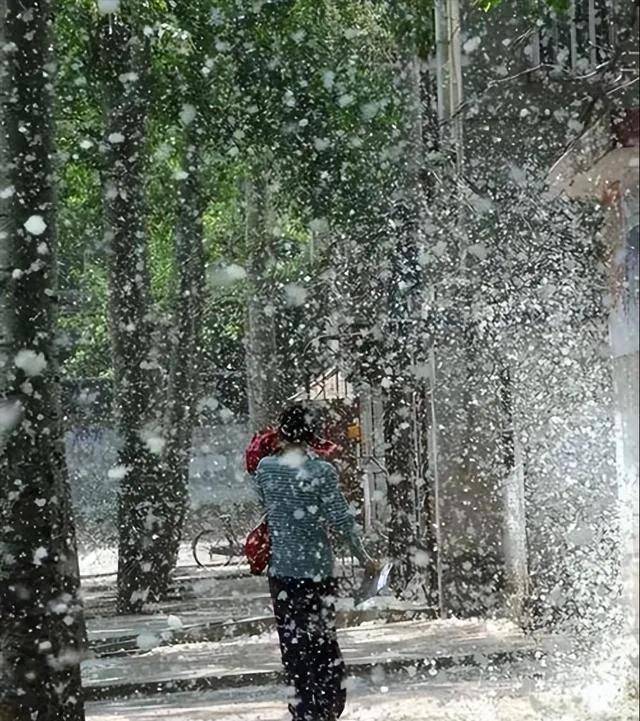 一发瘫痪一个城市！中国公布新型神秘炸弹<strong></p>
<p>vgs在哪个平台有交易</strong>，是专门为谁准备的？