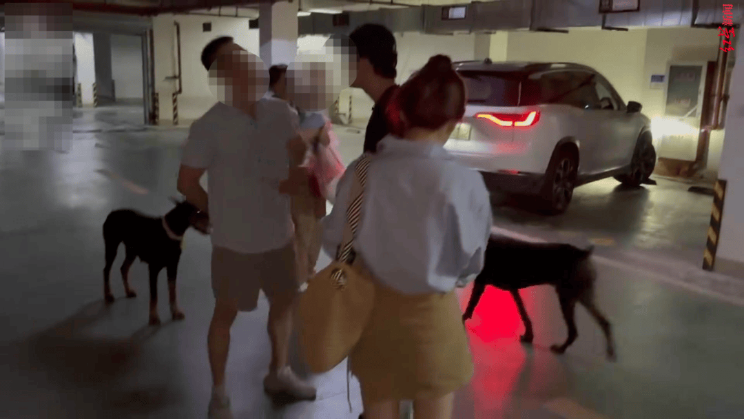 小区车库俩杜宾犬没拴绳引争吵：路人要打死<strong></p>
<p>ccex交易平台</strong>，狗主人反呛咬你了吗