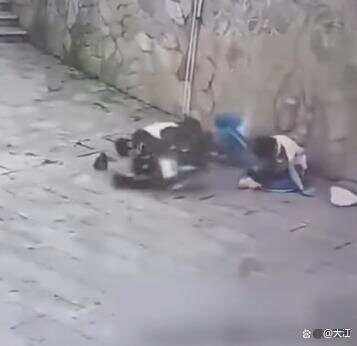 湖南两高中生骑电动车撞围墙身亡<strong></p>
<p>瓦特平台</strong>，两人均未佩戴安全头盔 家属称系改装车，最高时速100公里