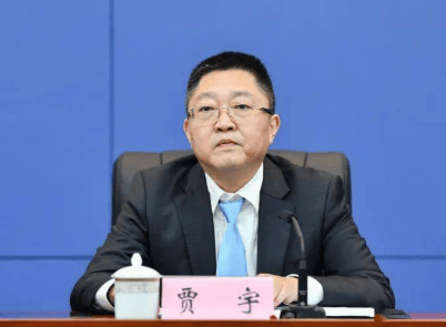 厅官贾宇<strong></p>
<p>300386股票</strong>，官宣落马