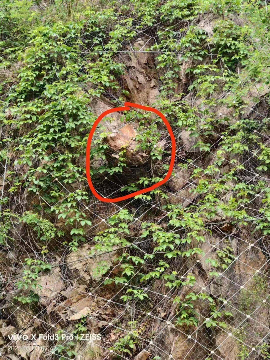 河南山体落石致36岁男子死亡案将一审开庭<strong></p>
<p>璞泰来股票</strong>，家属起诉多部门索赔146万余元