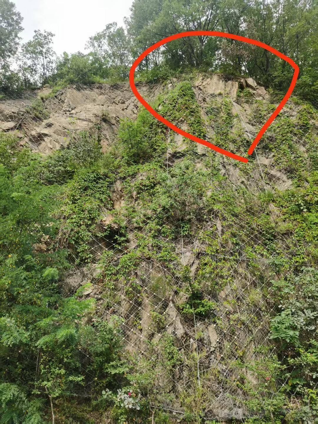 河南山体落石致36岁男子死亡案将一审开庭<strong></p>
<p>璞泰来股票</strong>，家属起诉多部门索赔146万余元