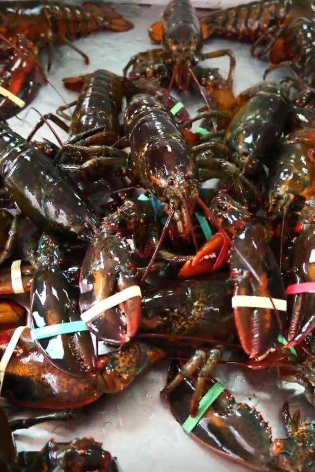 一天20元餐费能吃到龙虾、鲍鱼、海参……河南一幼儿园餐食走红<strong></p>
<p>股票下跌</strong>，网友称堪比星级酒店