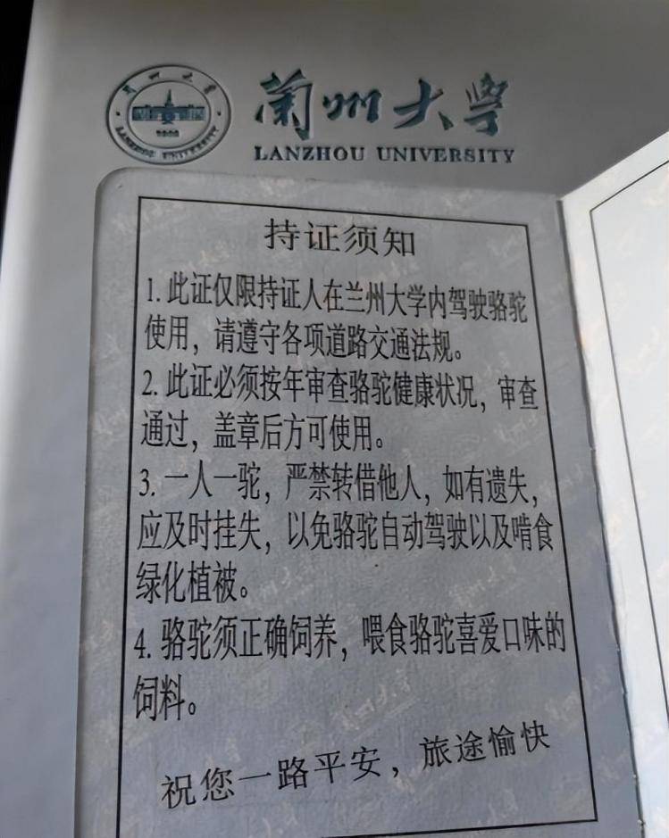 一人一驼<strong></p>
<p>黑马股票</strong>，骆驼尾气排放超标要扣分？兰大回应学生持证骑骆驼上学：骆驼驾驶证为学校文创，非官方证件