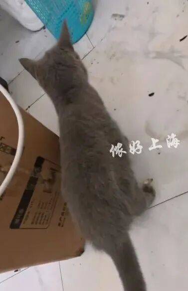 上海一房东崩溃！"00后"情侣租客失联<strong></p>
<p>股票开户流程</strong>，打开房门直呼"辣眼睛"…