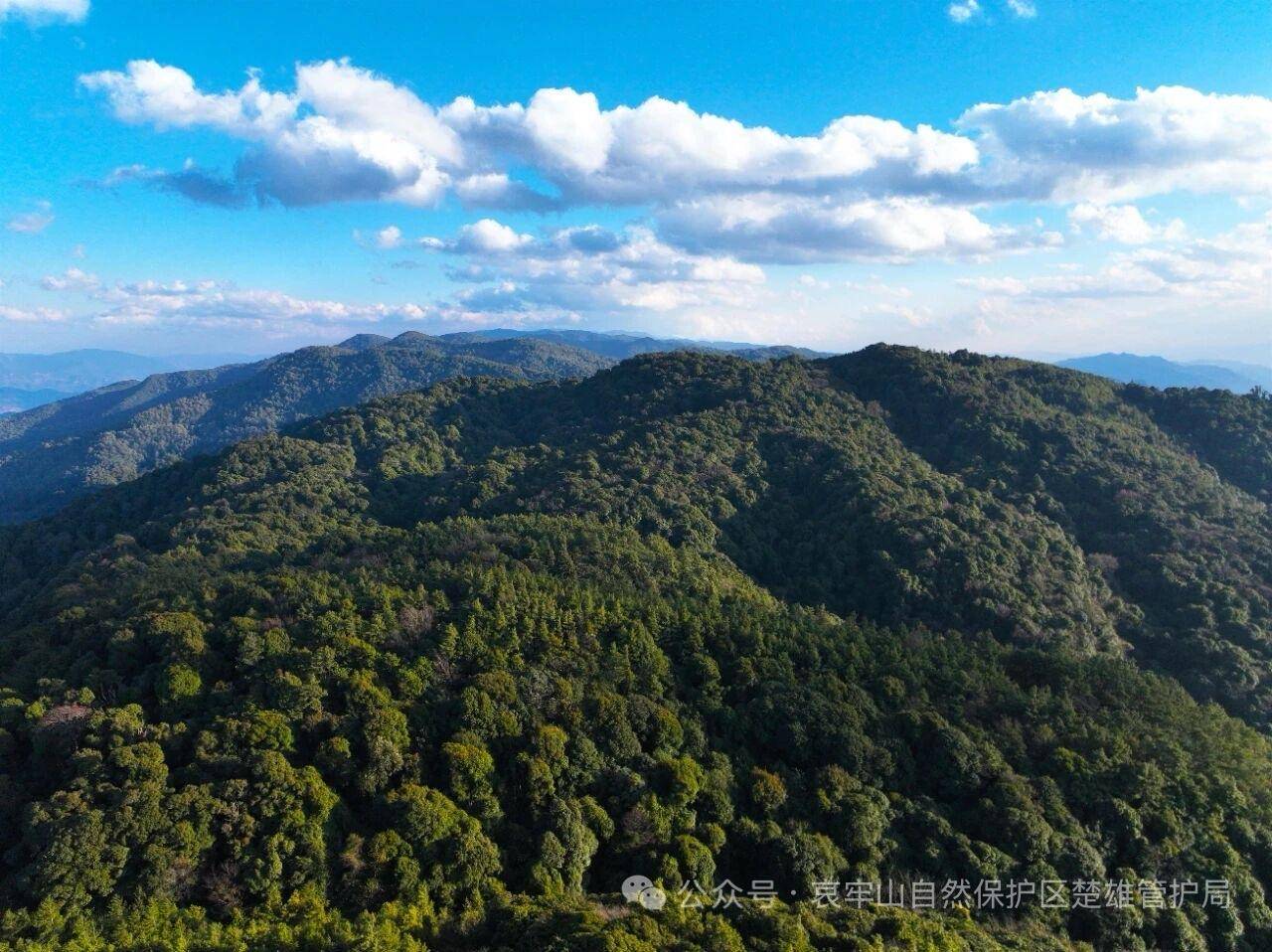 云南哀牢山新规出台：禁止任何单位和个人擅入哀牢山自然保护区<strong></p>
<p>股票开户流程</strong>，从事科研活动须报批