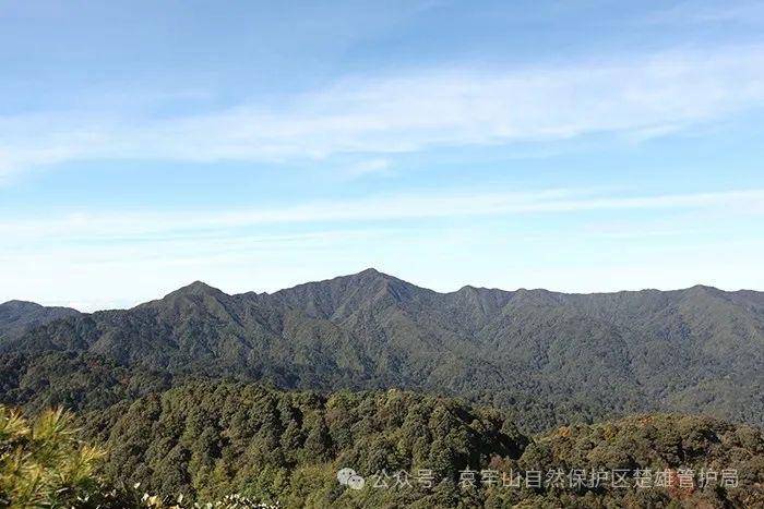 云南哀牢山新规出台：禁止任何单位和个人擅入哀牢山自然保护区<strong></p>
<p>股票开户流程</strong>，从事科研活动须报批