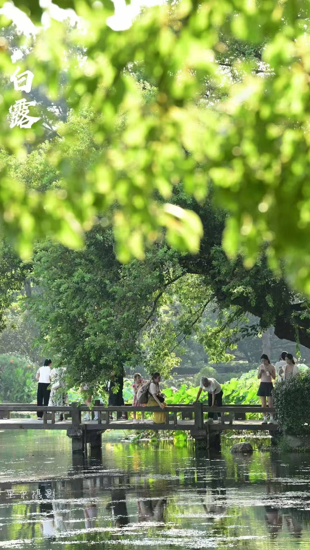 40℃的白露太夸张<strong></p>
<p>股票名词解释</strong>，熬过今明两天，浙江真能告别高温吗