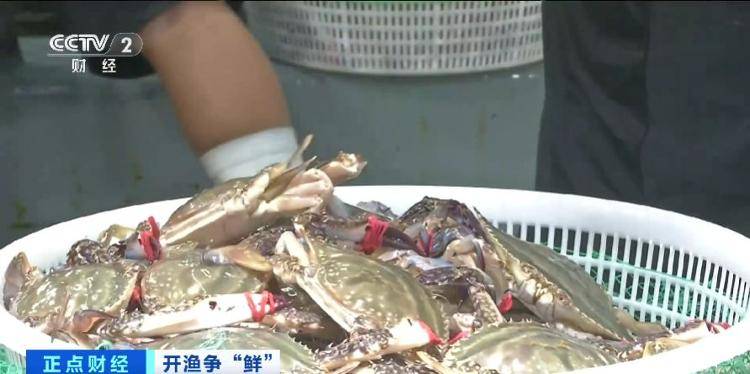 大连“开海”首个周末<strong></p>
<p>万孚生物股票</strong>，海鲜价格走势如何？记者探访→