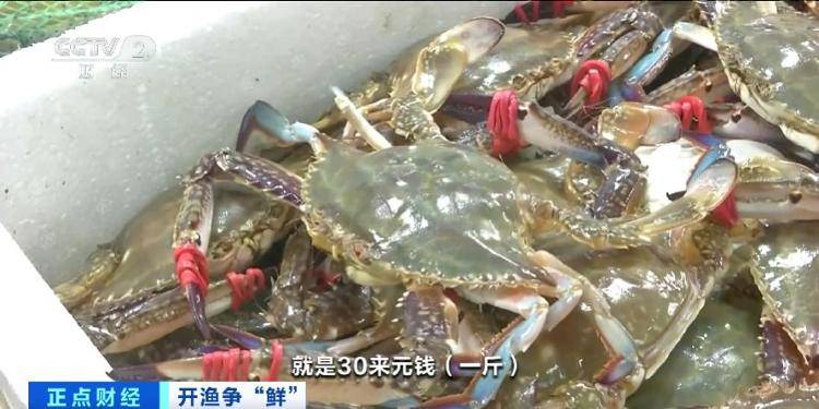大连“开海”首个周末<strong></p>
<p>万孚生物股票</strong>，海鲜价格走势如何？记者探访→