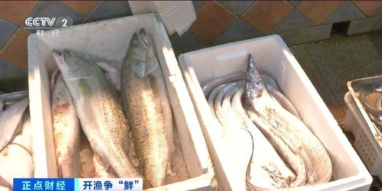 大连“开海”首个周末<strong></p>
<p>万孚生物股票</strong>，海鲜价格走势如何？记者探访→