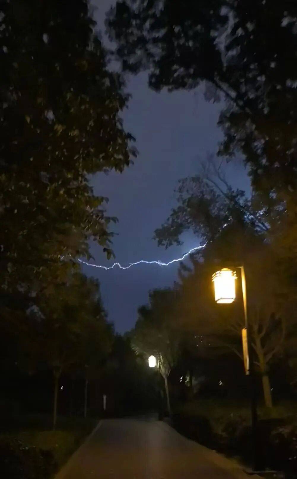 知名女主持人自曝：我雷暴哮喘了！太原这家医院急诊数小时内曾接诊400多人<strong></p>
<p>保龄宝股票</strong>，近期高发