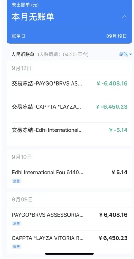 可用额度600多元却被盗刷将近2万元<strong></p>
<p>远大智能股票</strong>，浦发信用卡被集中盗刷之谜