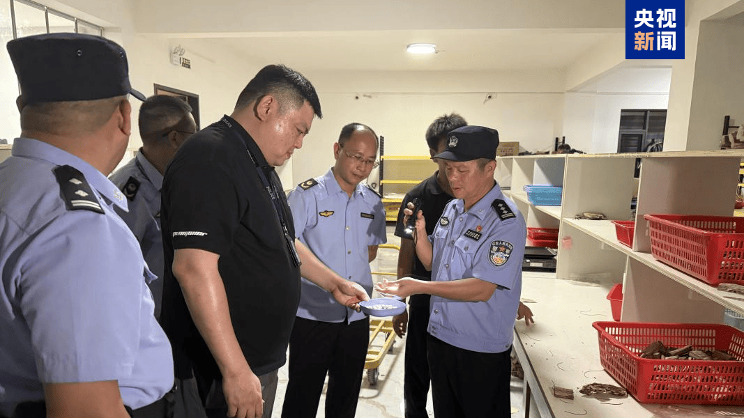 央视曝光后<strong></p>
<p>宁波海运股票</strong>，广东电白连夜行动，对5家企业立案调查