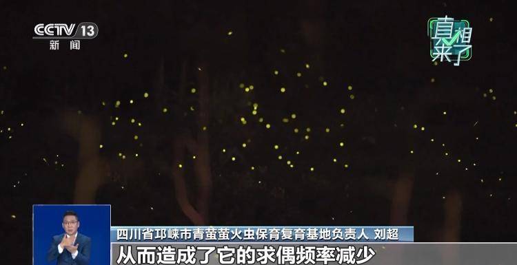 网传萤火虫濒临灭绝<strong></p>
<p>宁波海运股票</strong>，是真的吗？