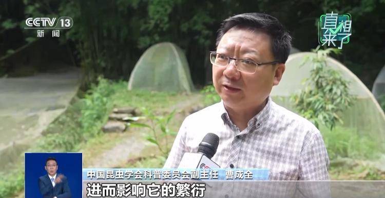 网传萤火虫濒临灭绝<strong></p>
<p>宁波海运股票</strong>，是真的吗？
