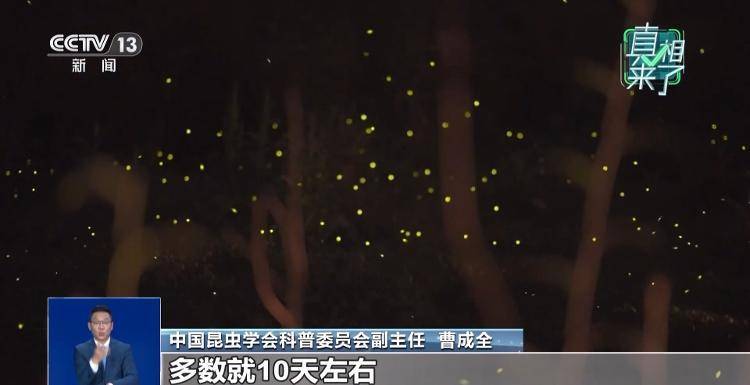 网传萤火虫濒临灭绝<strong></p>
<p>宁波海运股票</strong>，是真的吗？