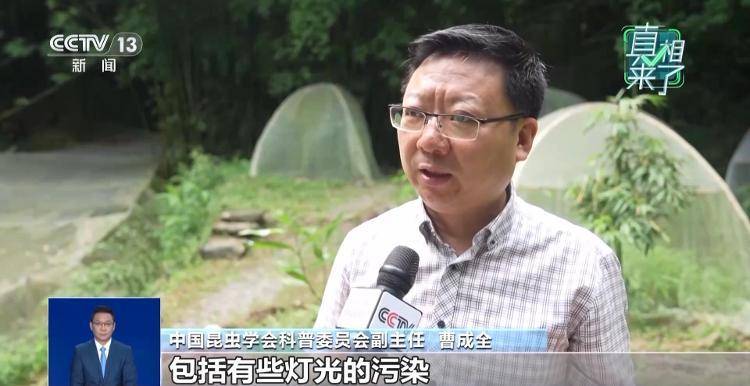 网传萤火虫濒临灭绝<strong></p>
<p>宁波海运股票</strong>，是真的吗？