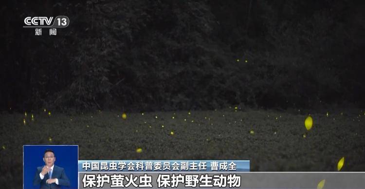 网传萤火虫濒临灭绝<strong></p>
<p>宁波海运股票</strong>，是真的吗？