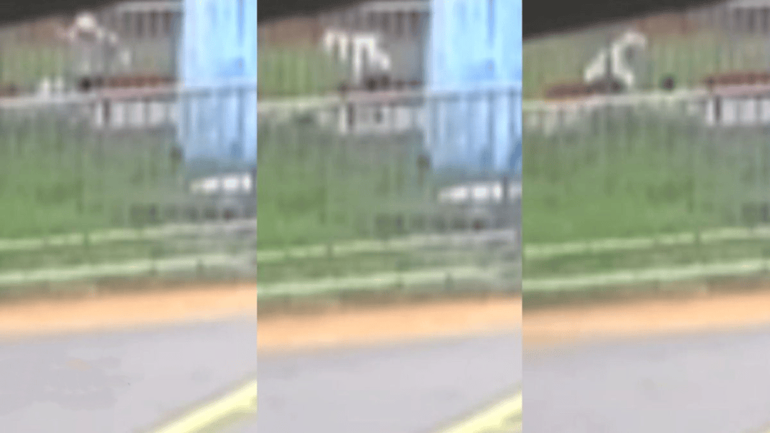 “44秒31刀”<strong></p>
<p>闽东电力股票</strong>，台湾残忍情杀案曝光：多次寻求复合被拒，17岁少年网购长刀当众杀害21岁前女友，已被逮捕