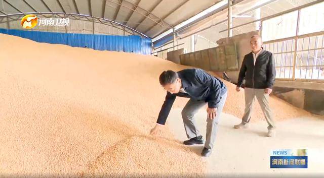 河南省委书记<strong></p>
<p>海峡股份股票</strong>，前往田间地头，拿起玉米了解情况