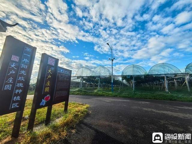 独立调查丨中国农民丰收节为啥选在山东这个小山村里办<strong></p>
<p>海峡股份股票</strong>？