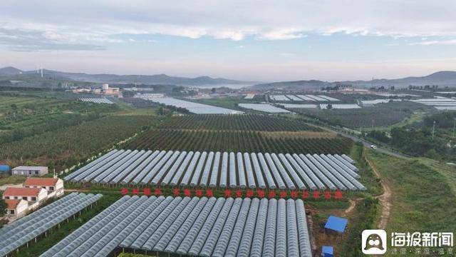 独立调查丨中国农民丰收节为啥选在山东这个小山村里办<strong></p>
<p>海峡股份股票</strong>？