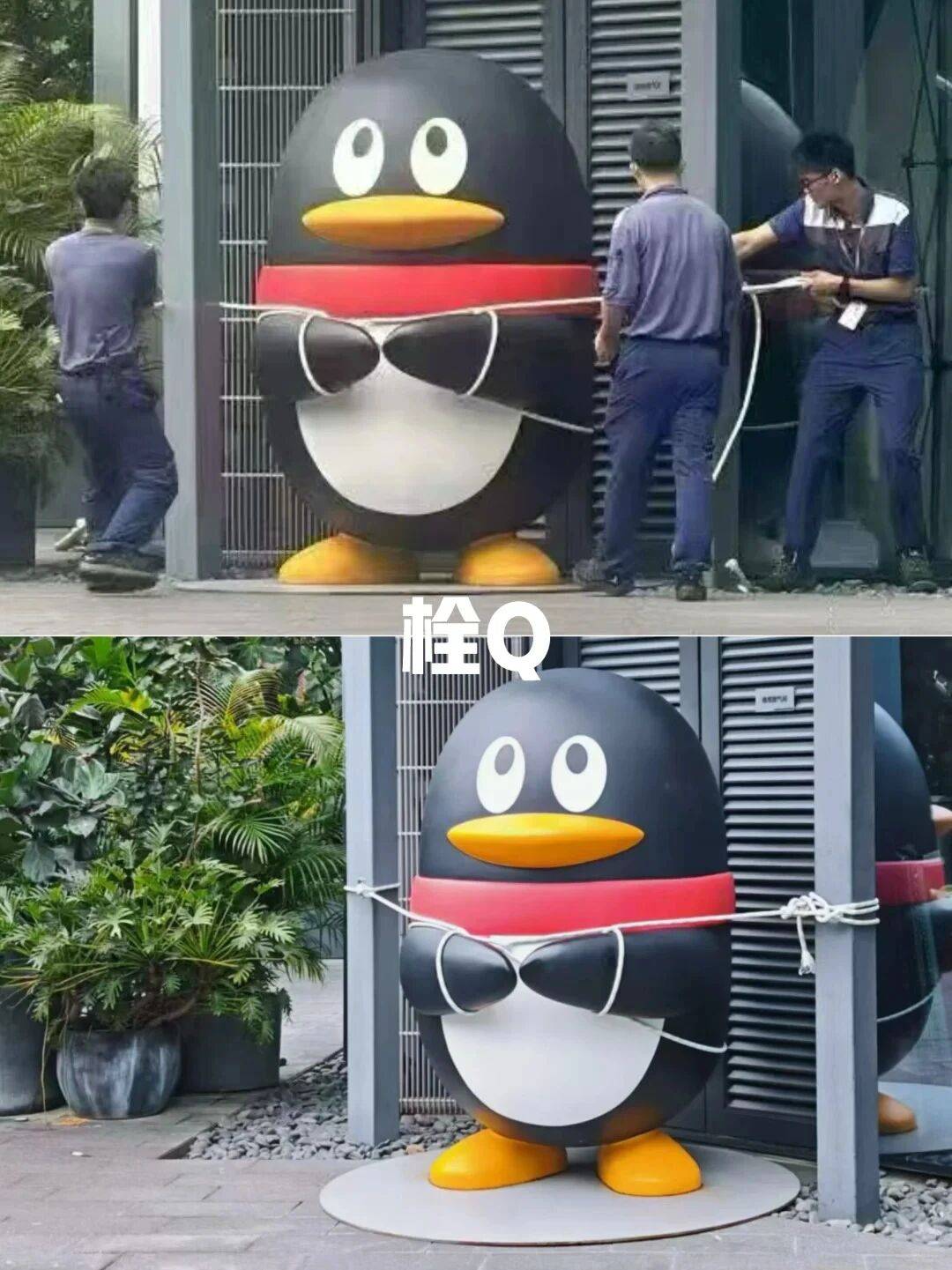 个头大过广东！谨防风王“桦加沙”，深圳人太硬核！这些务必码住