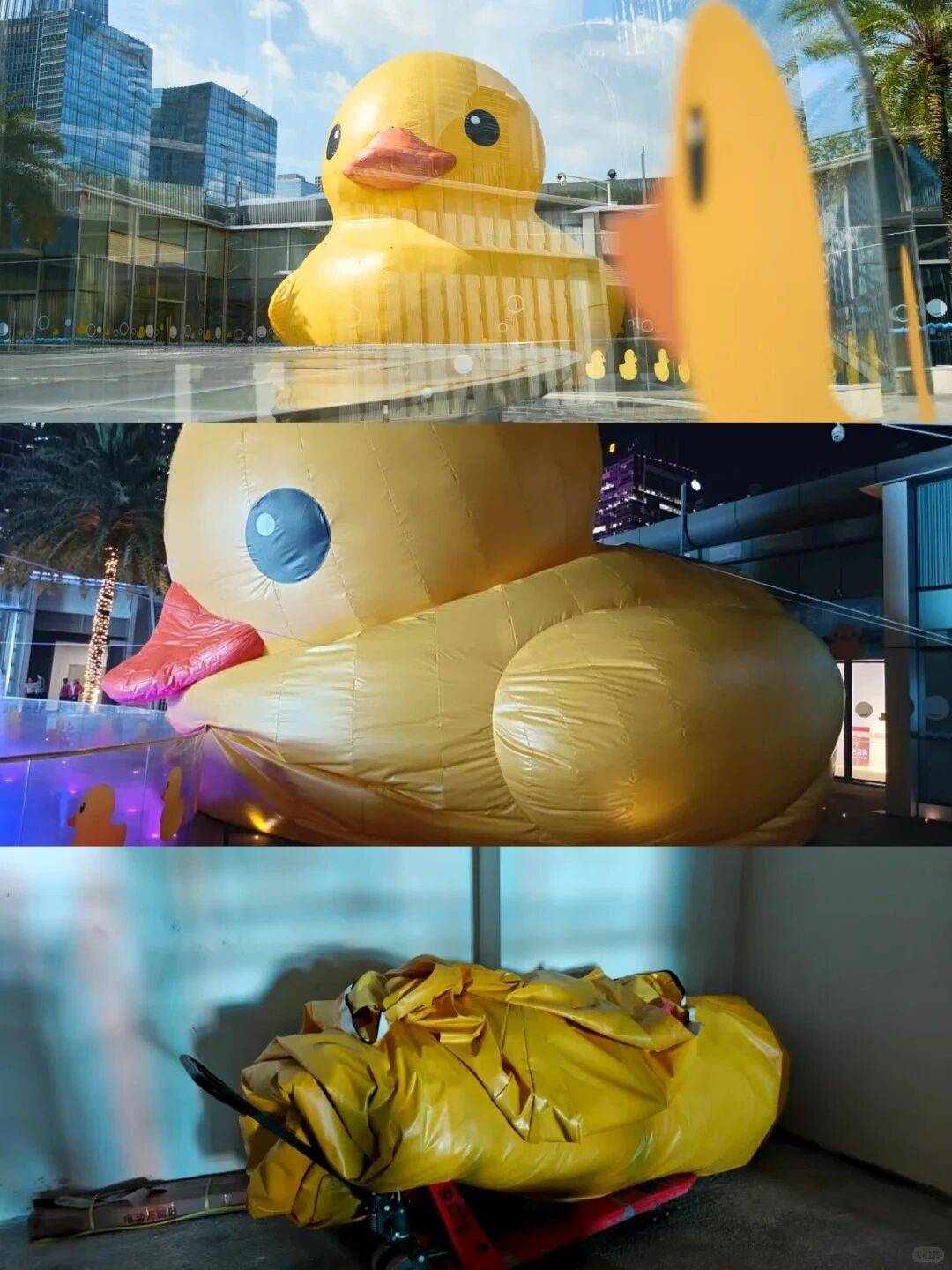 个头大过广东!谨防风王“桦加沙”<strong></p>
<p>龙星化工股票</strong>,深圳人太硬核!这些务必码住