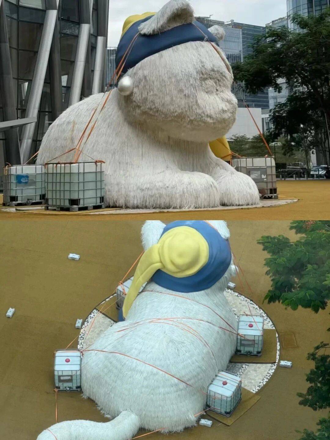 个头大过广东!谨防风王“桦加沙”<strong></p>
<p>龙星化工股票</strong>,深圳人太硬核!这些务必码住