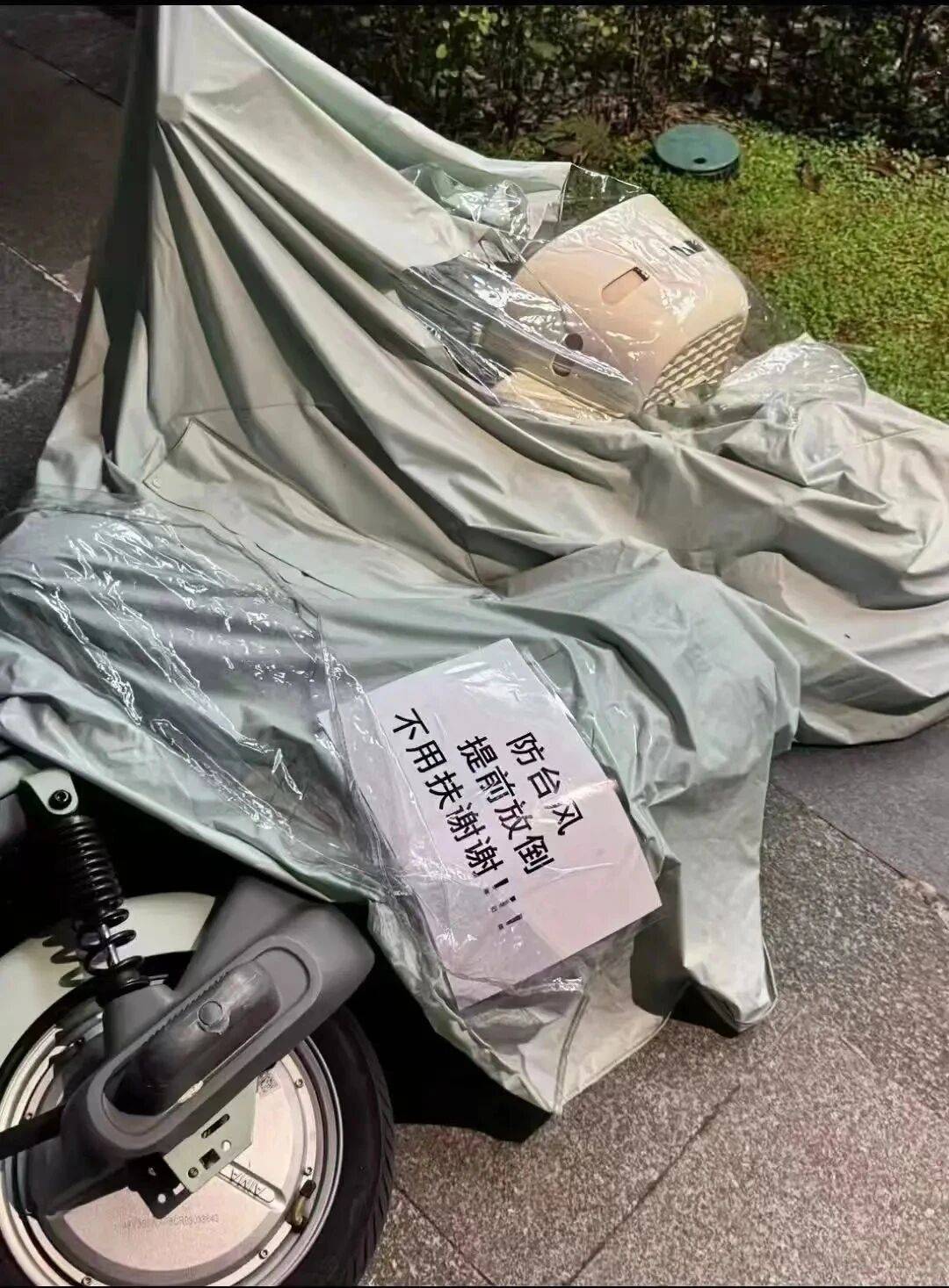 个头大过广东!谨防风王“桦加沙”<strong></p>
<p>龙星化工股票</strong>,深圳人太硬核!这些务必码住