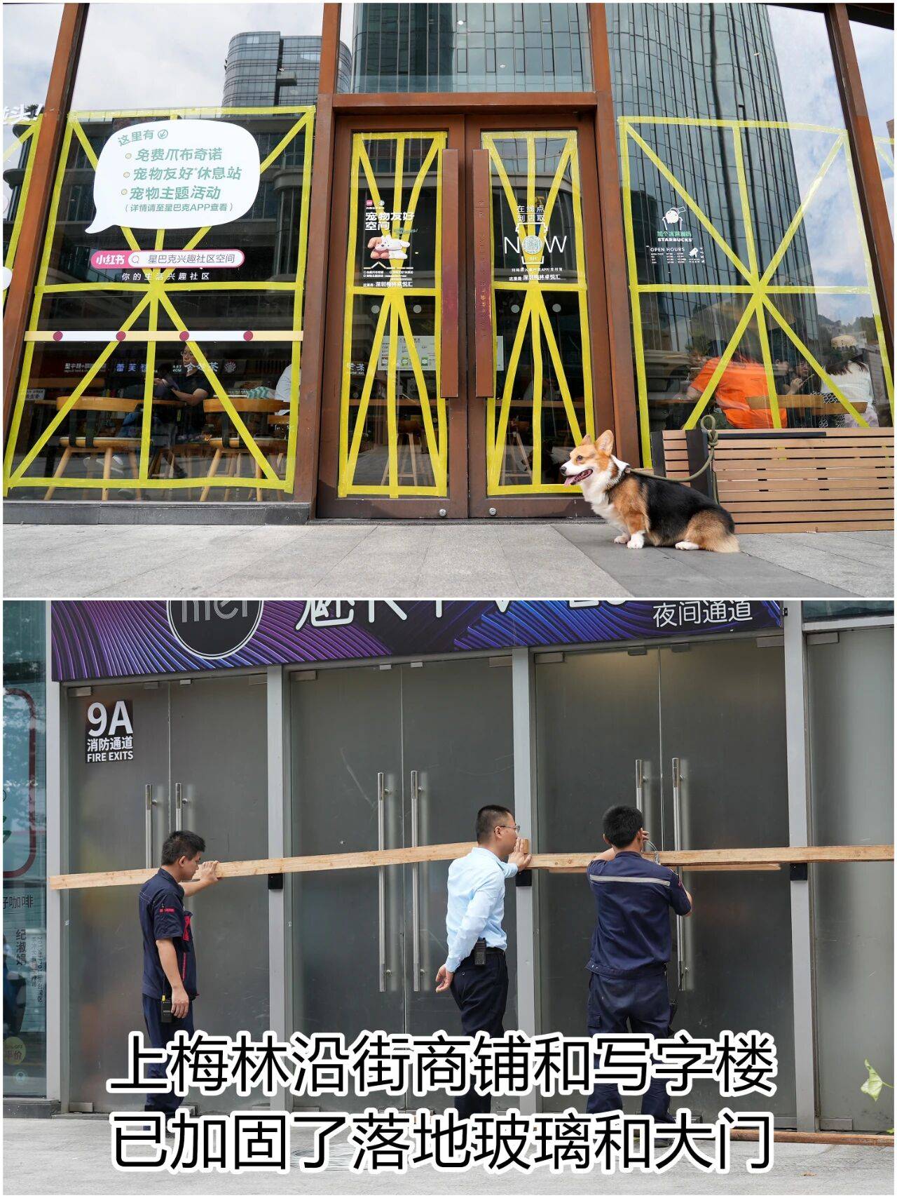 个头大过广东!谨防风王“桦加沙”<strong></p>
<p>龙星化工股票</strong>,深圳人太硬核!这些务必码住