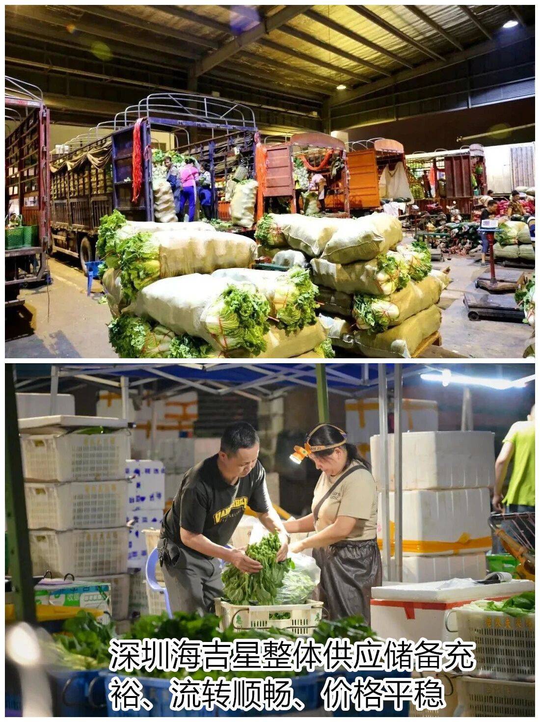 个头大过广东!谨防风王“桦加沙”<strong></p>
<p>龙星化工股票</strong>,深圳人太硬核!这些务必码住