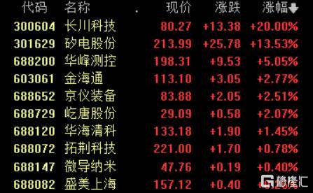 半导体设备又火了!500亿龙头业绩预告抢跑<strong></p>
<p>龙星化工股票</strong>,引爆“20CM”涨停