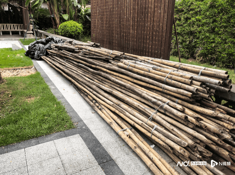 暗访回头看：广州口袋公园乱象整改成效如何<strong></p>
<p>宝钛股份股票</strong>？记者再探