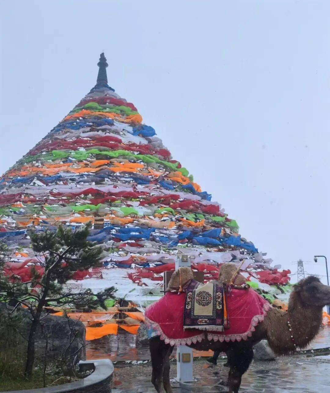 多地突降大雪<strong></p>
<p>博通集成股票</strong>!