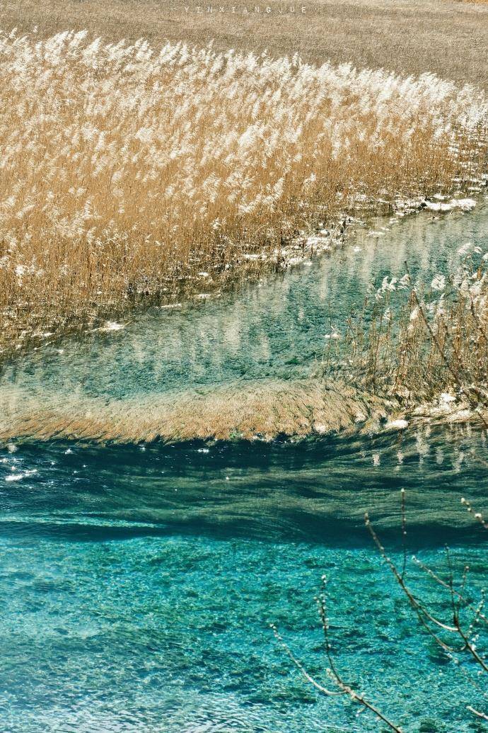 九寨沟“门票候补措施”推出1天就暂停，景区回应：登记的人数太多