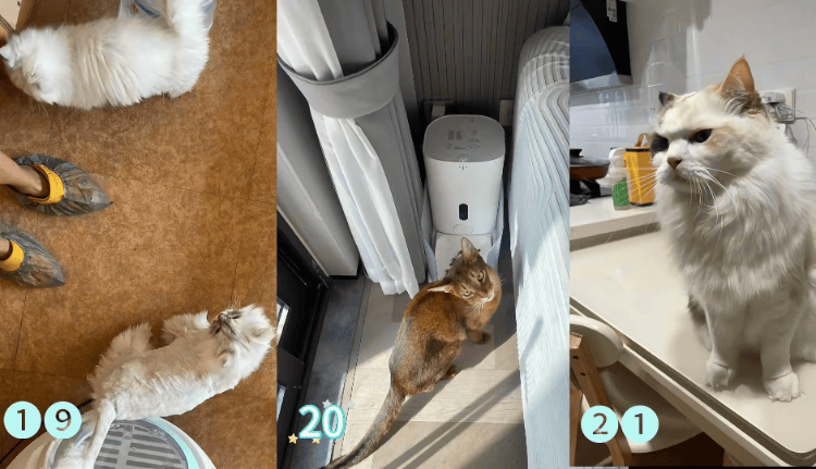 需求激增！男子长假连接270单<strong></p>
<p>通源石油股票</strong>，其中一笔收费8100元，“我有多套房，有双学位，客户很信任”；律师提醒→